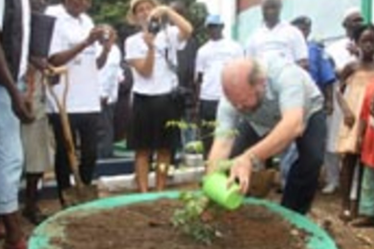 UN introduces Neem tree at Kafu Bullum on National Tree Planting Day